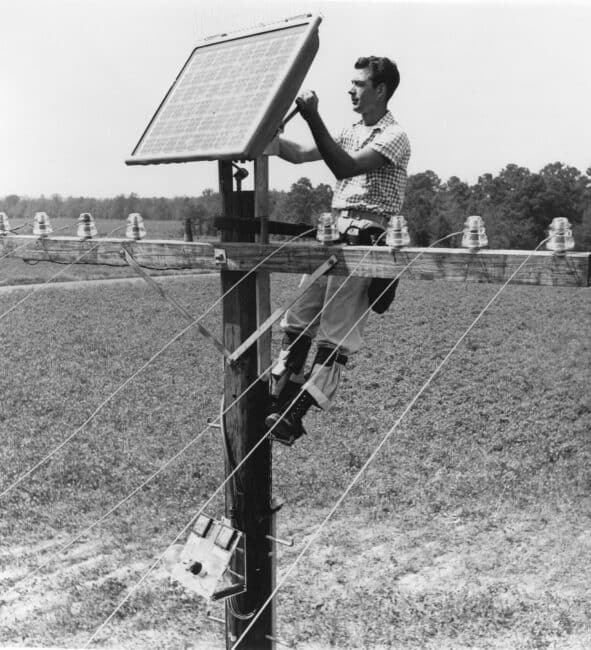 Photograph showing the appearance of the very first panels in the history of solar panels.